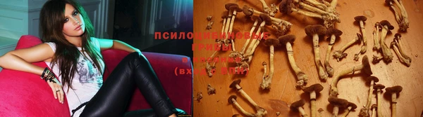 гашишное масло Балабаново