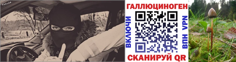 где можно купить наркотик  Поронайск  Псилоцибиновые грибы GOLDEN TEACHER 