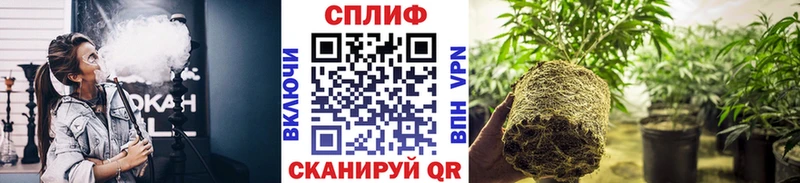 Конопля гибрид  mega ссылки  маркетплейс Telegram  сколько стоит  Поронайск 